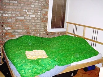 Rented by Centennial Properties NY