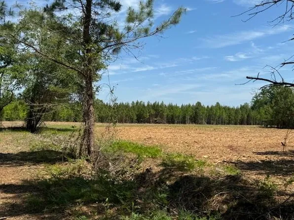 1371 Justice Loop Lot 6, Loris, SC 29569