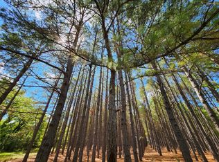 LOT 306 Quail Hollow Ct LOT 306, Larue, TX 75770