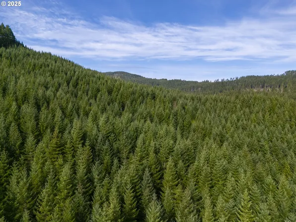 Wicks Rd, Dorena, OR 97434