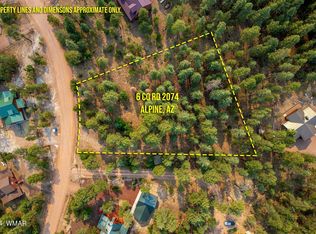 6 County Road 2074, Alpine, AZ 85920