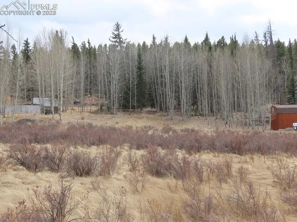 504 Valley Rd, Florissant, CO 80816