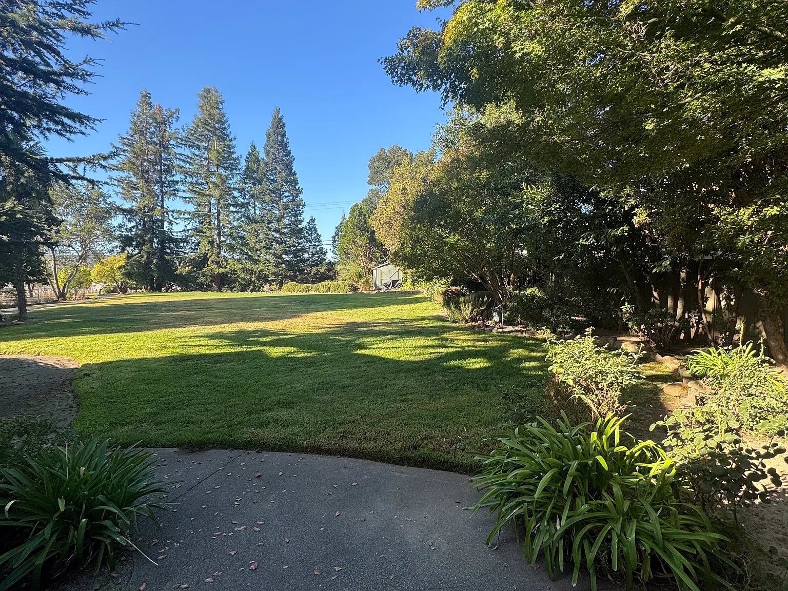 4 bed, $5,800 — Photo 2