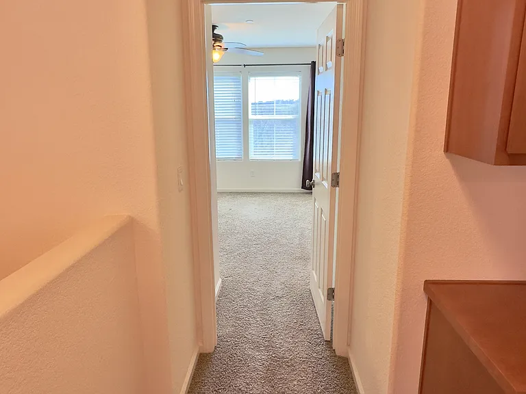209 Blossom Rock Ln — Photo 20