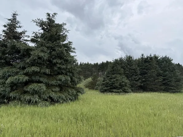 Eight Mile Rd, Kaleva, MI 49645