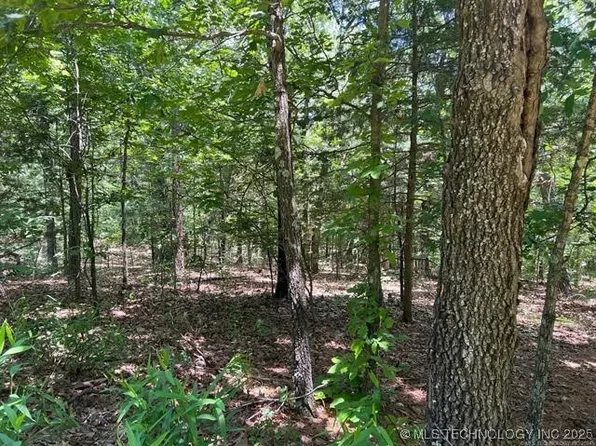 S 4409th Rd, Locust Grove, OK 74352