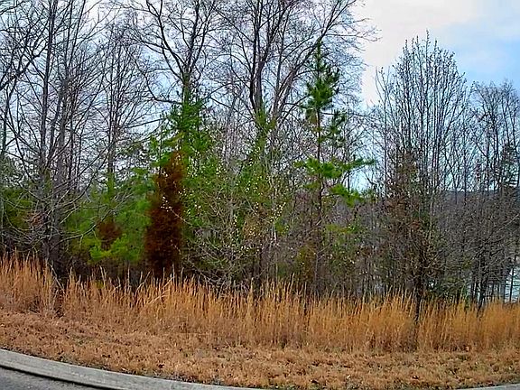 3rd image of 0 Spring Cove Ln #6