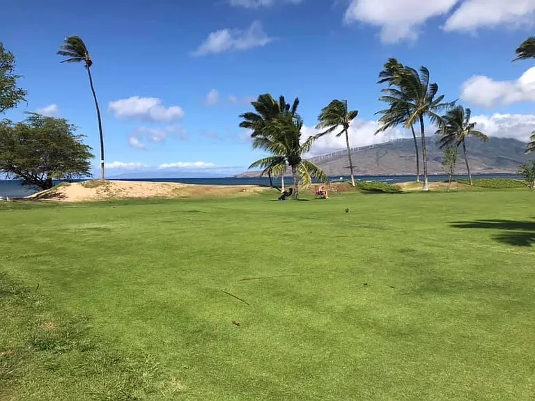 1032 S Kihei Rd #A109 — Photo 11