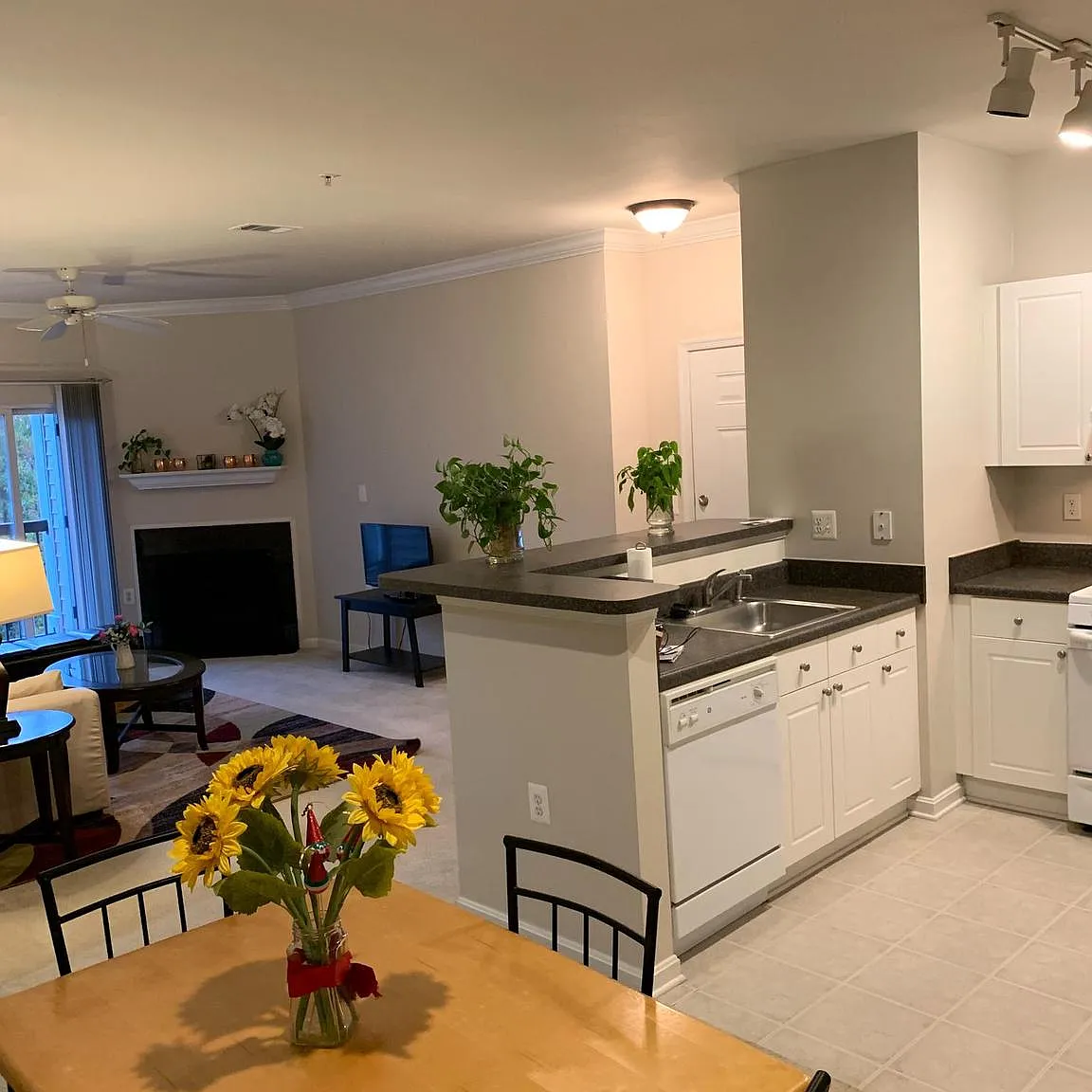 Fairfax Ridge Condo — Photo 3