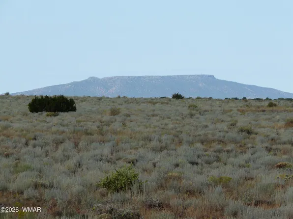 500 Chevelon Canyon Dr, Heber, AZ 85928