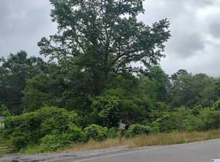 3640 Logan Martin Dam Rd #3640, Cropwell, AL 35054