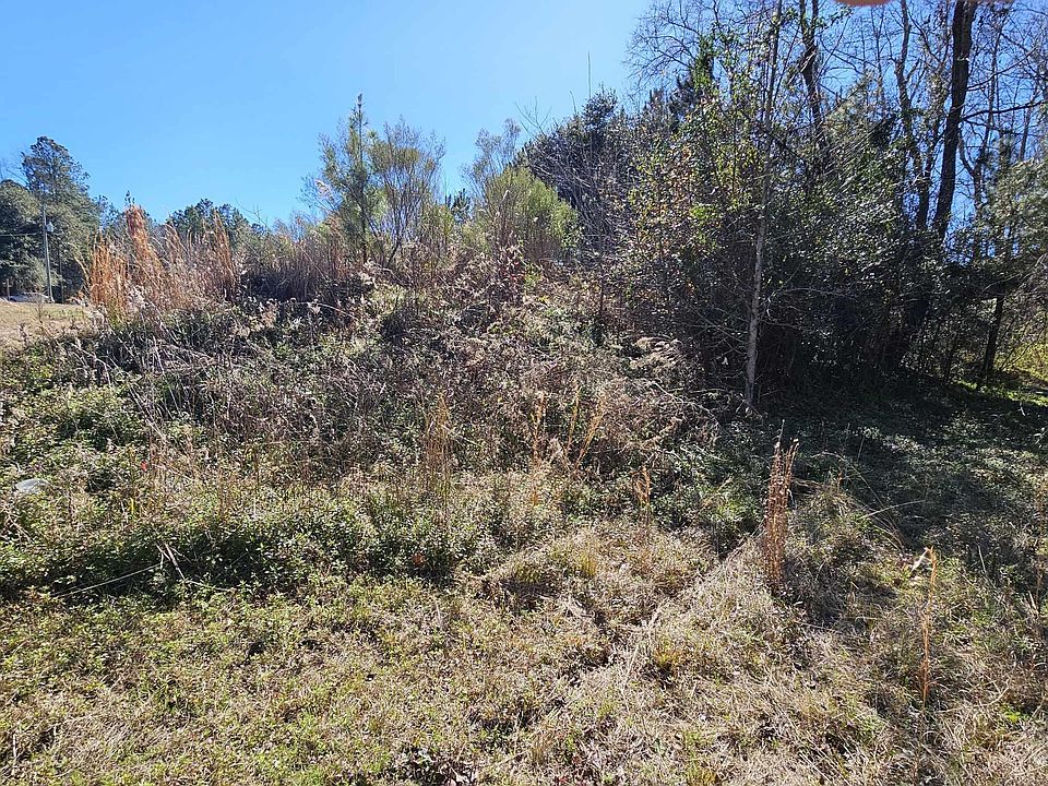 2nd image of 0 Old Black Oak Rd
