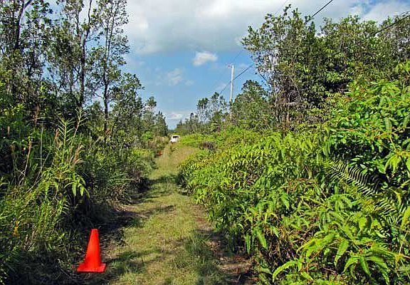 Looking down Malia Aina from left corner.