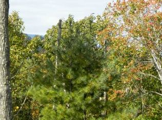 Lot 8 Indian Ridge, blue ridge, GA 30513