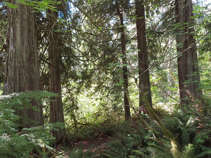 5th image of 0 Fallert Road