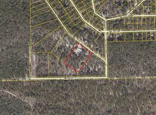 1599 NE 125th Ln, Branford, FL 32008