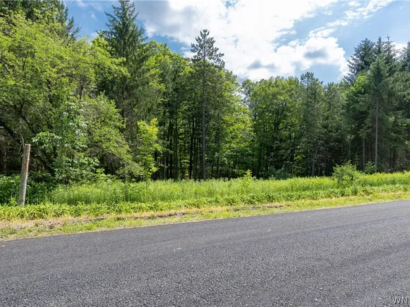 Abbott Hill Rd Lot 16, Springville, NY 14141