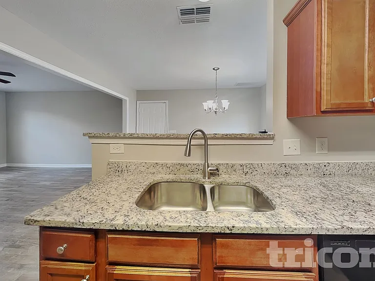 232 Mary Joe Martin Dr — Photo 5
