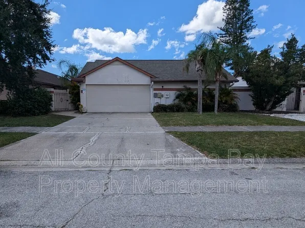 10914 Landon Ln, Tampa, FL 33635