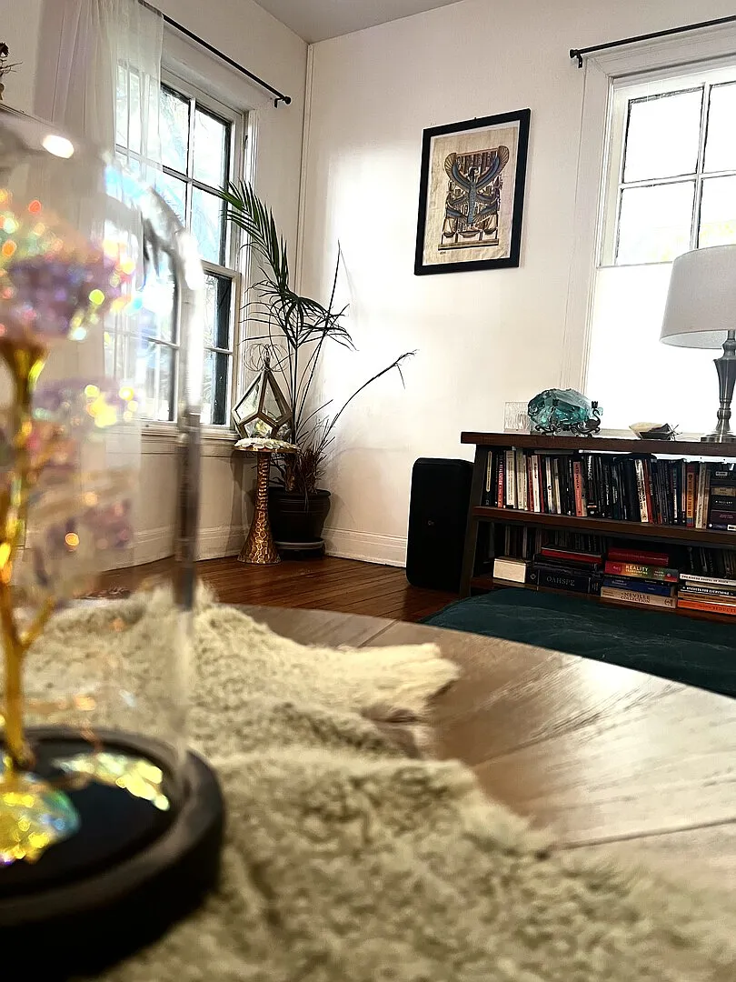 Furnished Charming Home in Tree Paradise Travis Heights — Photo 4