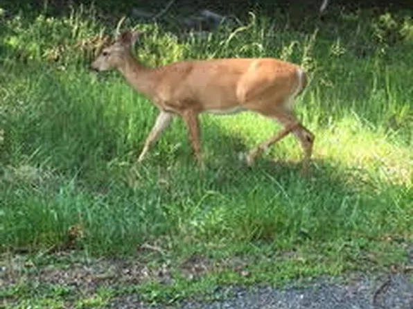 LOT 14.15 Seventeen Pocono Mountain Lake Dr, Bushkill, PA 18324