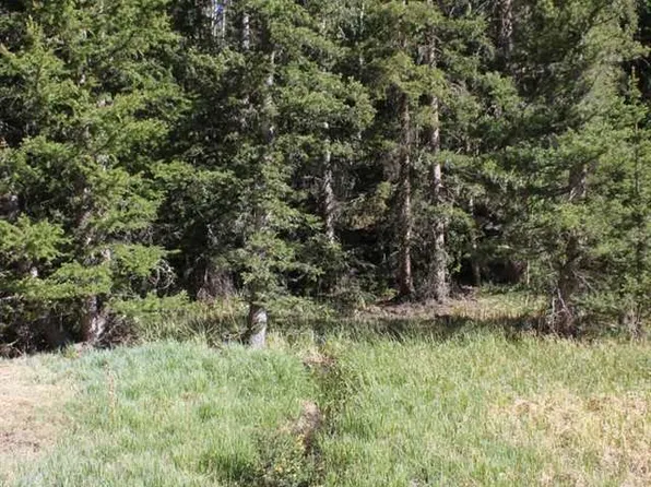 LOT 8 Valle Verde, Red River, NM 87558