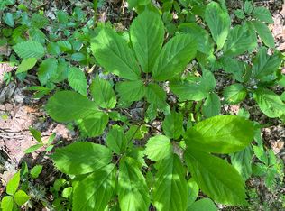 Rocky Ridge Rd, Cosby, TN 37722