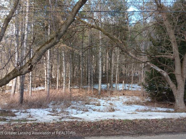 7228 W Beard Rd, Perry, MI 48872