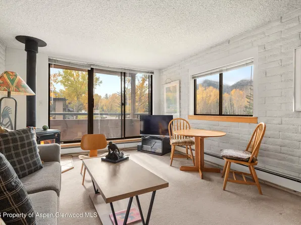 131 Vine St, Aspen, CO 81611