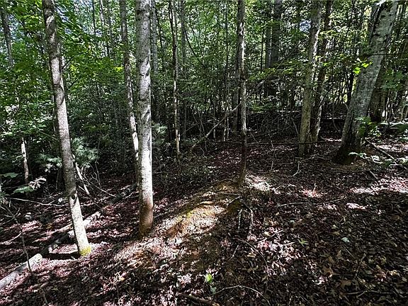 4th image of 00A Higgins Rd