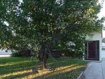 1st image of 3010 Pedersen Dr