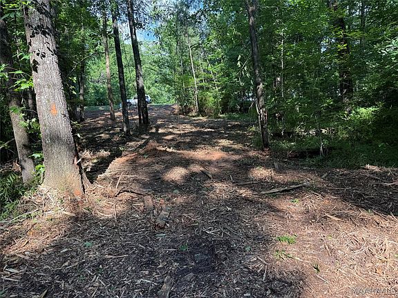 5th image of 2350 Spigener Rd
