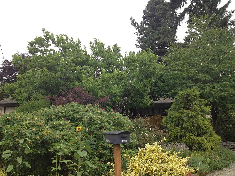 1st image of 10534 19th Ave NE