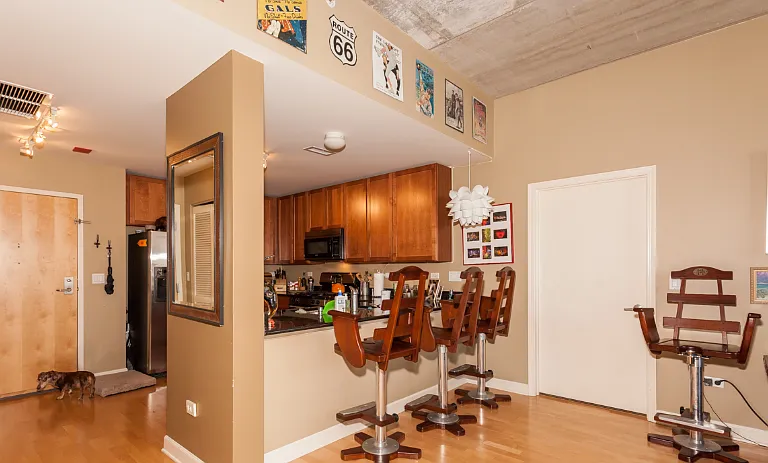 845 N Kingsbury #514 — Photo 8