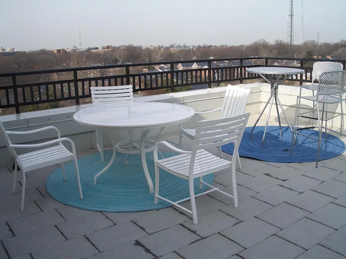 1 bed, 770 sqft, $3,500 — Photo 2