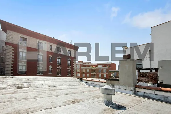 Sold by Harlem Lofts | media 6