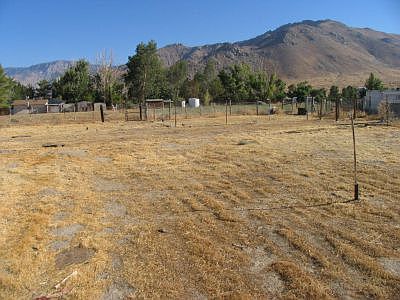 Yard looking North-East