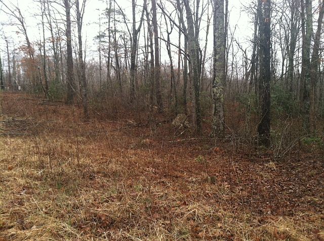 1st image of Ponderosa Lane