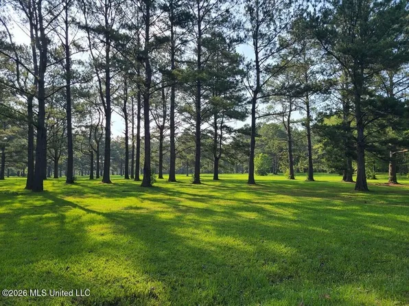 Thompson Ln, Carriere, MS 39426