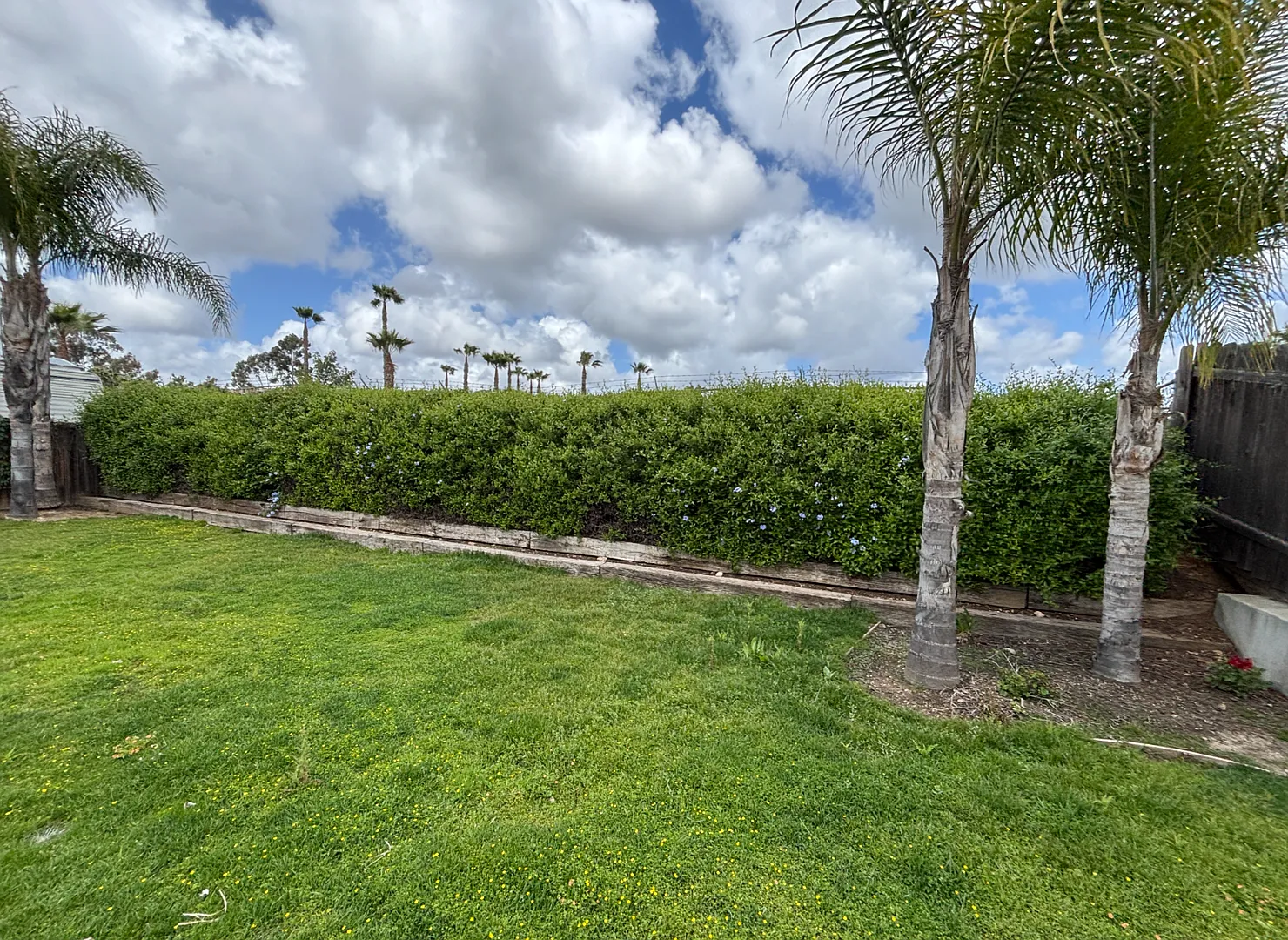 Lovely 3BD/2BA Santee Home w/ Large Backyard and 2-Car Garage! Available October - $3,695/mo! — Photo 4
