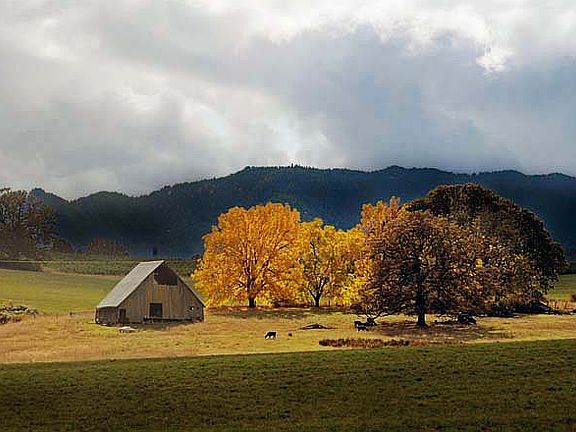 Southern view from house