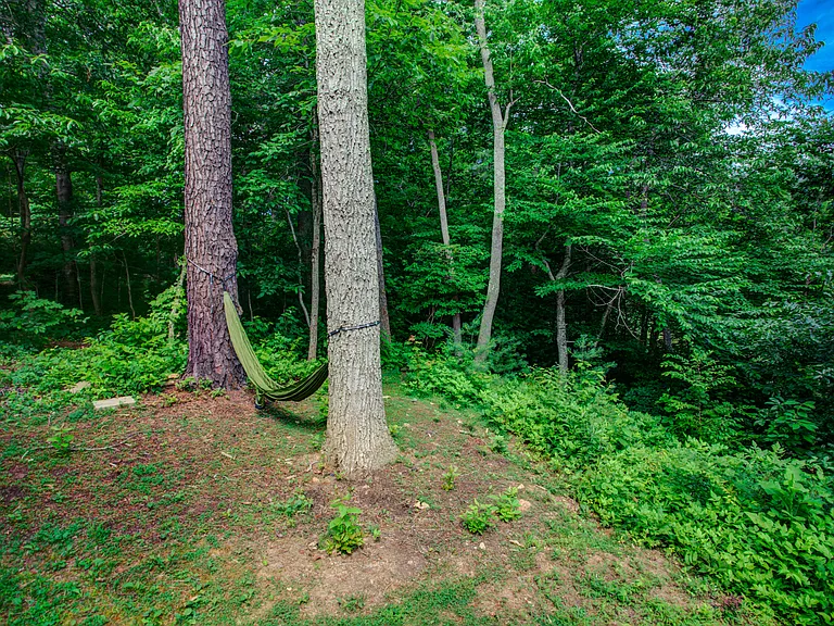 342 Old Haw Creek Rd — Photo 76