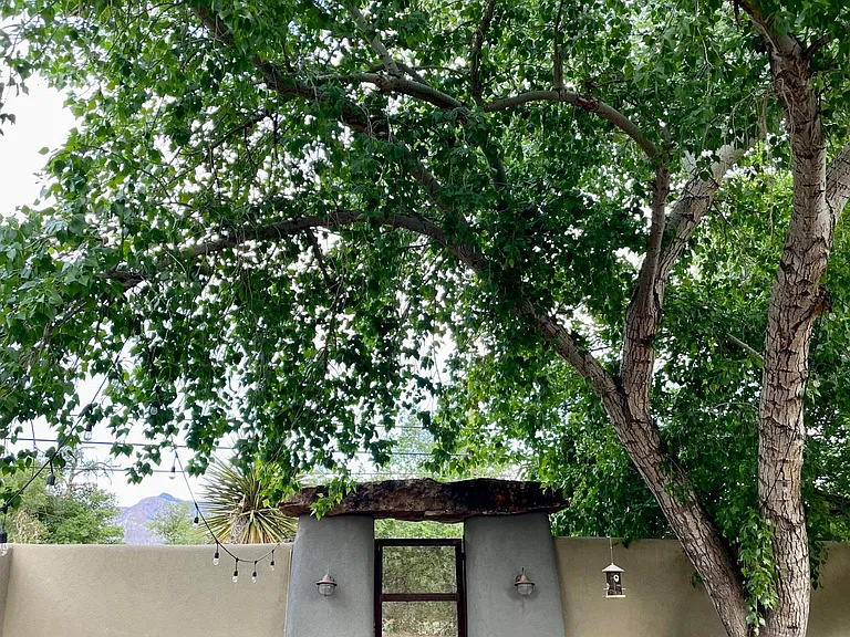 5993 Corrales Rd — Photo 18