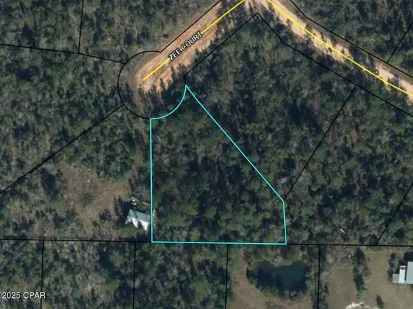 0 Zeecy, Alford, FL 32420