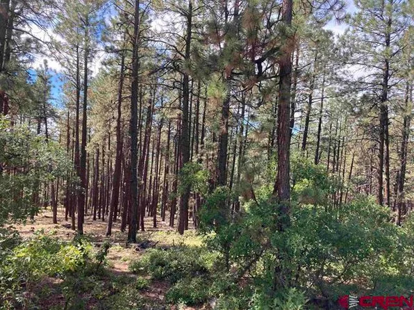 226 Elk Drive, Bayfield, CO 81122