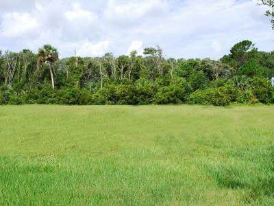 29 Kingfisher Ln, Palm Coast, FL, 32137