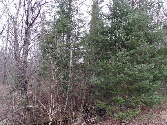 2nd image of 40 Acres Off Knapp Road