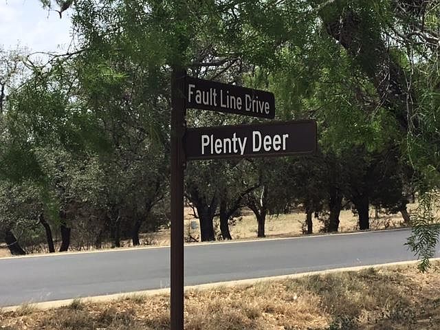 1st image of LT W16043 Plenty Deer