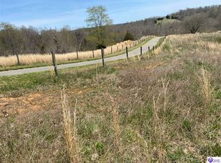 377 Mount Zion Church Rd, Magnolia, KY 42757