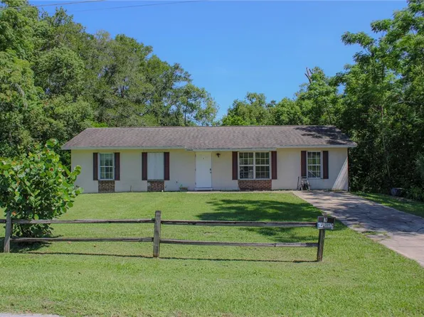 23649 Franklin Ave, Sorrento, FL 32776